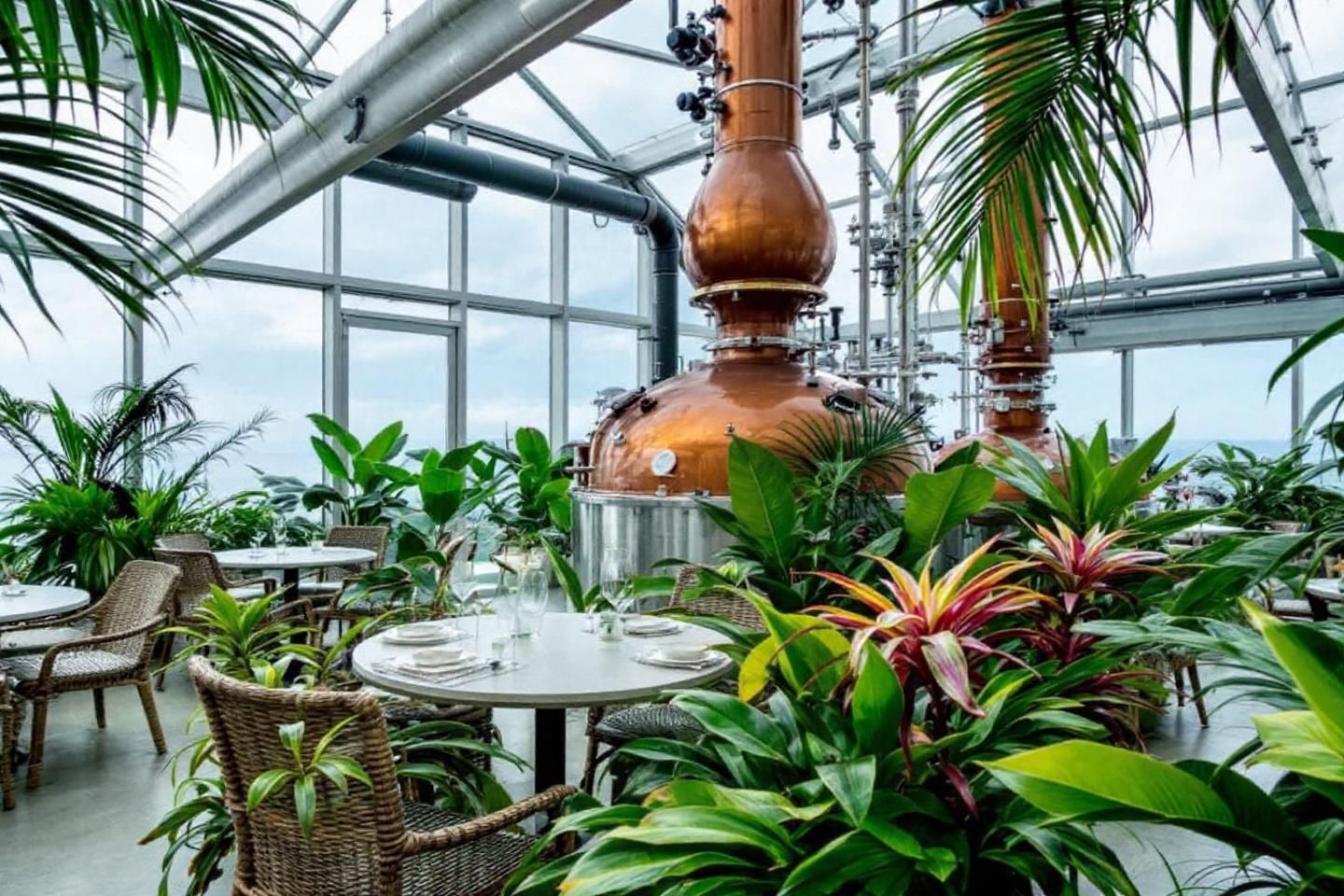 Top 5 des rhumeries en Suisse à ne pas manquer